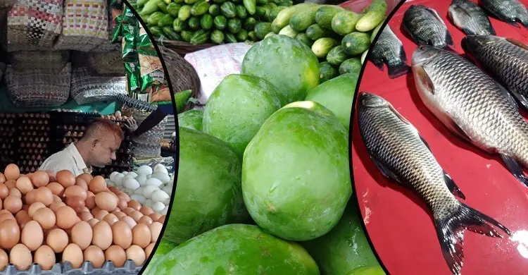 রংপুরে দাম বেড়েছে মাছ-ডিম-কাঁচামরিচের