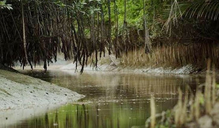 সুন্দরবনের চার জলদস্যুবাহিনীর প্রধানসহ ৫২ জনের আত্মসমর্পণ 