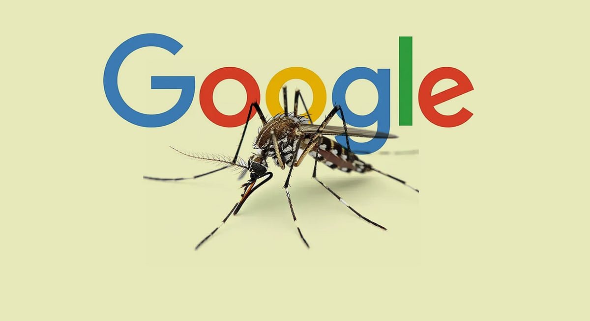 কেন আমেরিকায় কোটি কোটি মশা ছাড়তে চায় গুগল