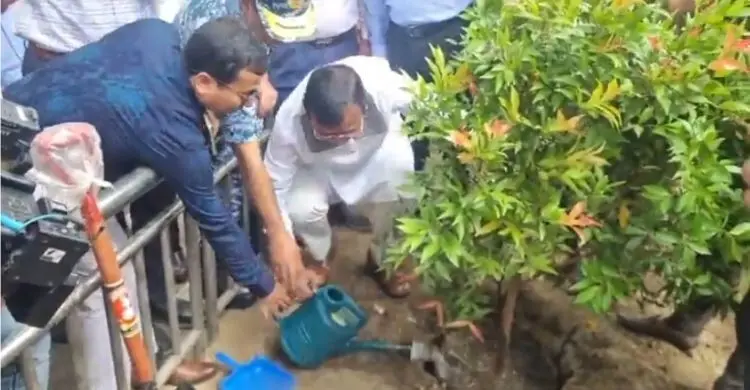 সড়ক বিভাজকে বৃক্ষরোপণ কর্মসূচি শুরু দক্ষিণ সিটির