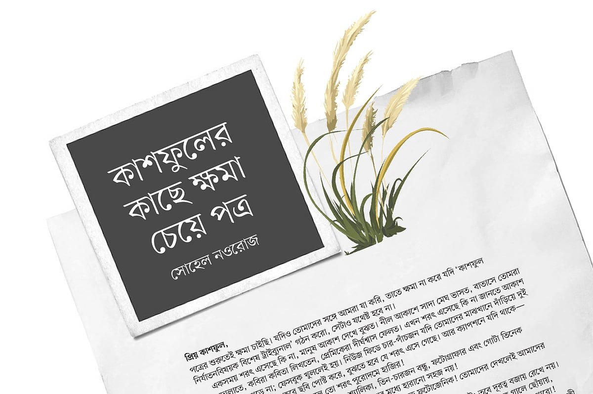 কাশফুলের কাছে ক্ষমা চেয়ে পত্র
