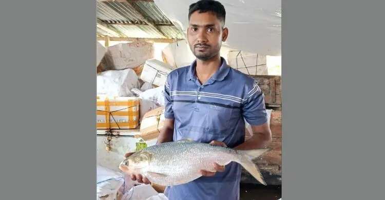 এক রাজা ইলিশ ১৬ হাজারে বিক্রি