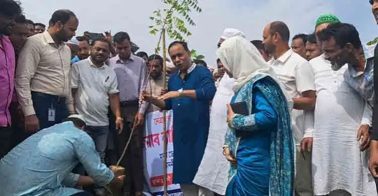 উপড়ে ফেলা চারার জায়গায় ফের চারা রোপণ করলেন ডেপুটি স্পিকার