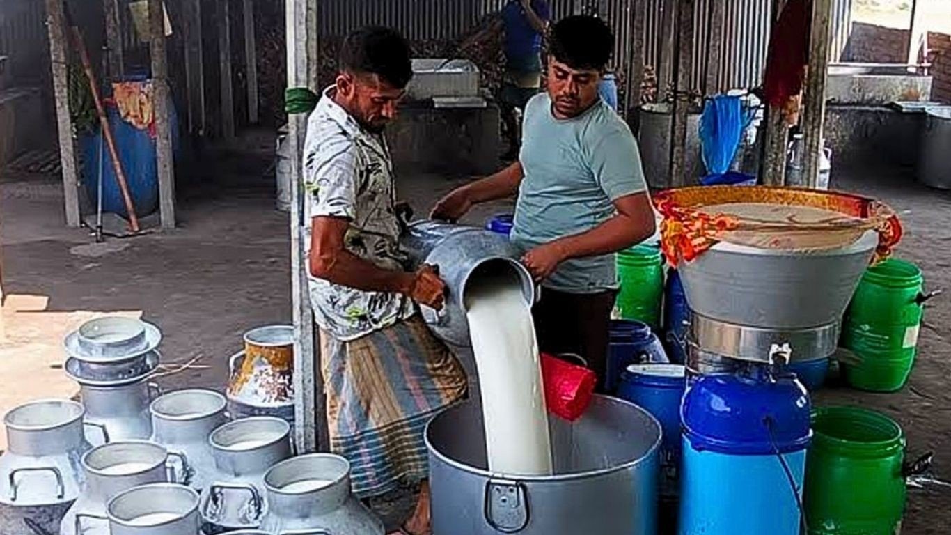 এবার বেড়েছে দুধের দাম