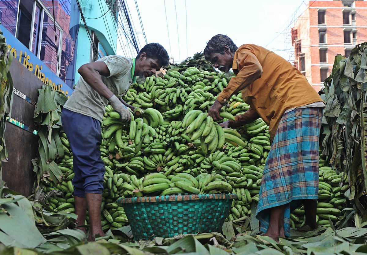 ফিরিঙ্গি বাজারে কলা বেচাকেনা