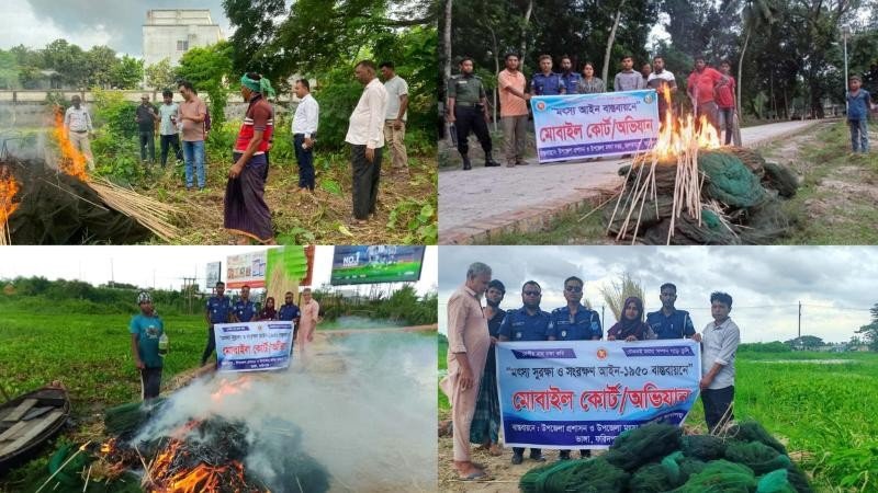 সংবাদ প্রকাশের পর তৎপর মৎস বিভাগ, ফরিদপুরে নিষিদ্ধ চায়না দুয়ারির বিরুদ্ধে অভিযান 
