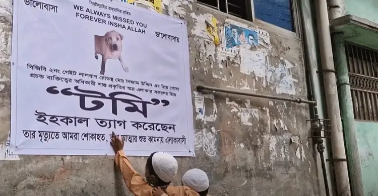 টমি নেই, পুরান ঢাকার গলিতে এক কুকুরের জন্য শোক