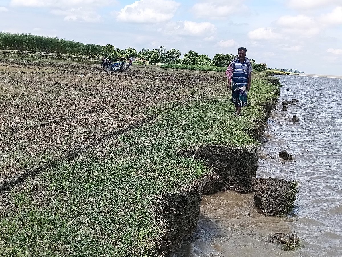 এক সপ্তাহে বিলীন শতাধিক বিঘা ফসলি জমি, ভাঙনের ঝুঁকিতে বসতবাড়ি–প্রতিষ্ঠান