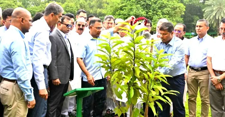 জিয়া উদ্যানে তারেক রহমানের বৃক্ষরোপণ