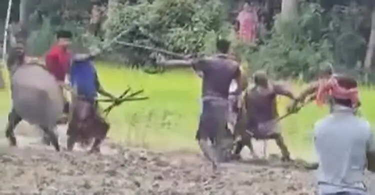 সালথায় দুই পক্ষের সংঘর্ষ, বাড়িঘর ভাঙচুর