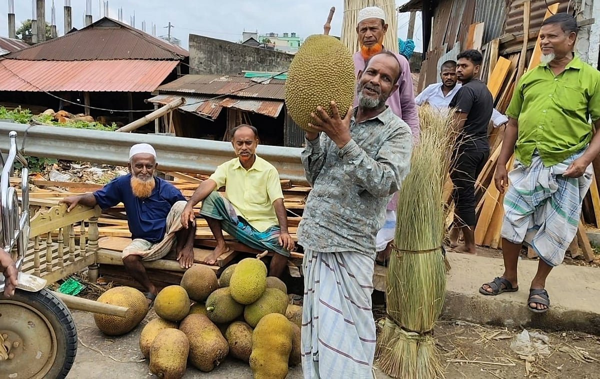 মৌসুমের শেষে দামি হয়ে উঠেছে কাঁঠাল, একেকটি বিক্রি হচ্ছে সর্বোচ্চ ১ হাজার টাকায়