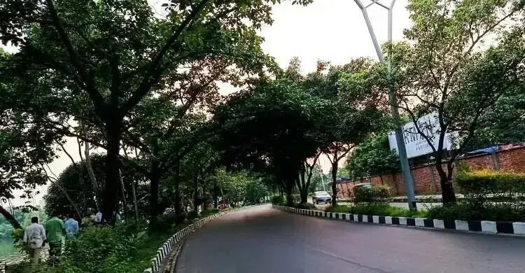 মালয়েশিয়ার কুচিং শহরের বায়ু বিপজ্জনক, ঢাকার মাঝারি