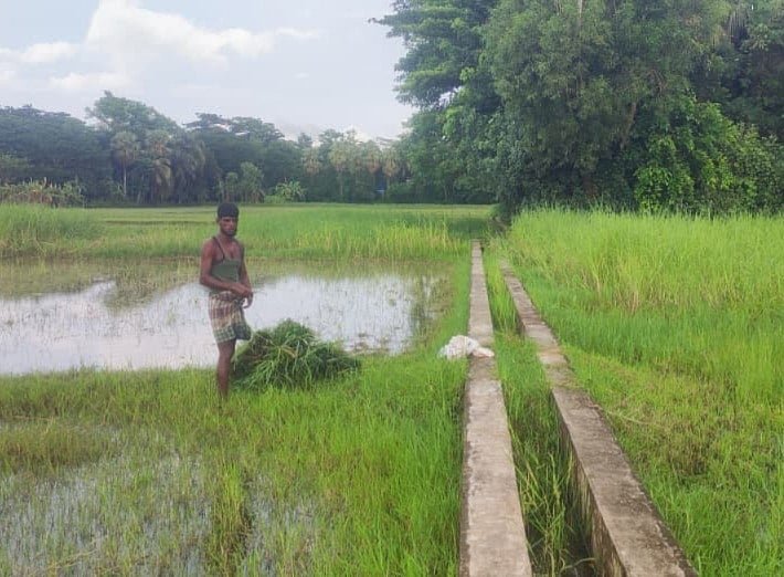 সেচ সুবিধার জন্য বসানো পাম্প চালু হয়নি একবারের জন্যও