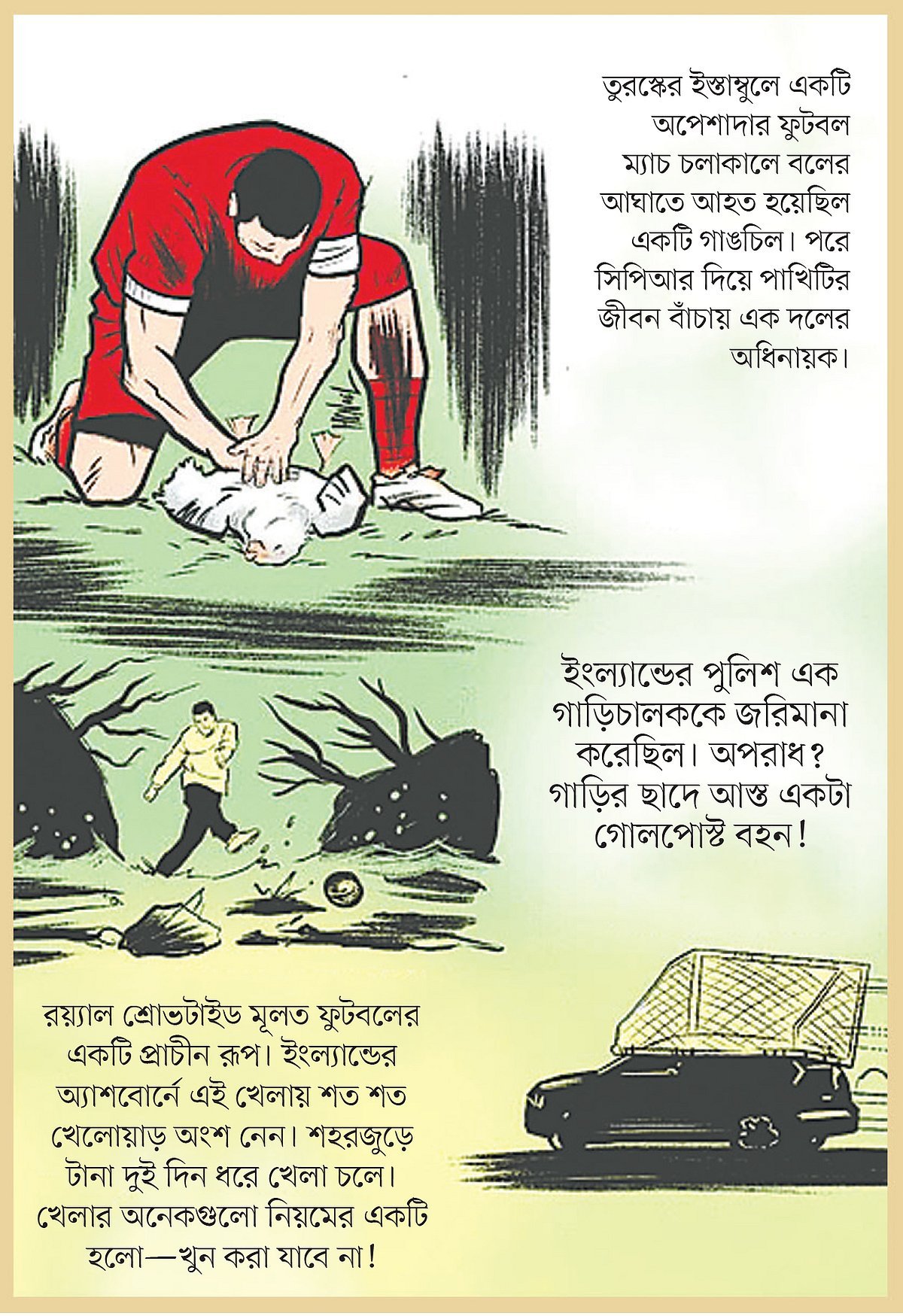 গাড়ির ছাদে আস্ত গোলপোস্ট