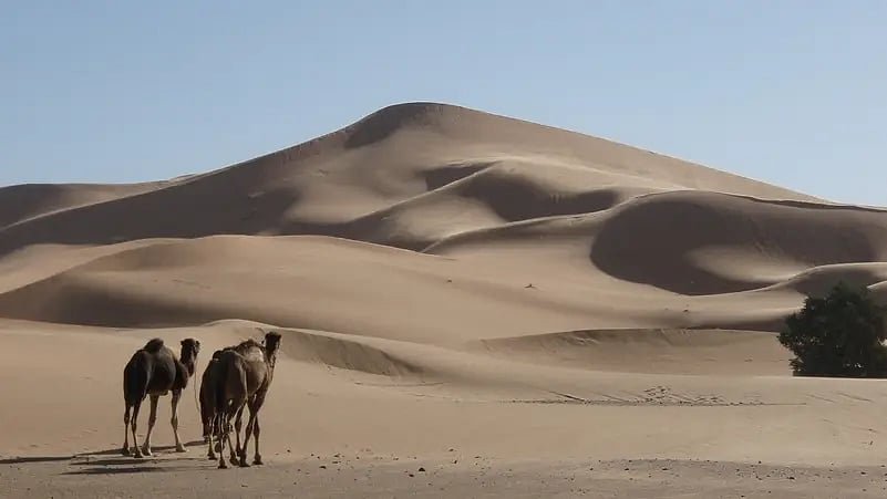 বালু থাকলেই কি শুধু মরুভূমি বলা হয়