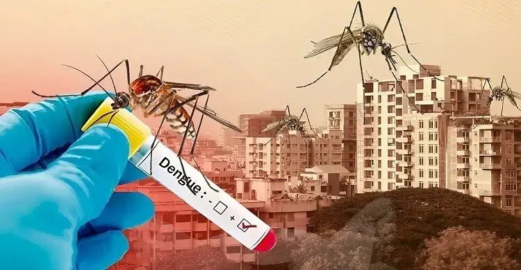 ডেঙ্গুতে আরও ৭ মৃত্যু, সেপ্টেম্বরে প্রাণ গেলো ৬৭ জনের