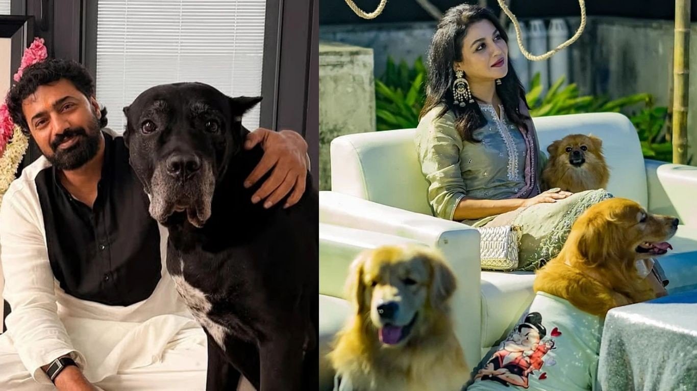আন্তর্জাতিক কুকুর দিবস আজ