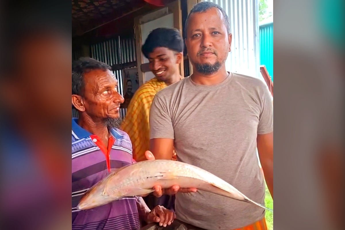 মেঘনার দুই ইলিশের মোট ওজন সাড়ে ৩ কেজি, ১৫ হাজার টাকায় বিক্রি