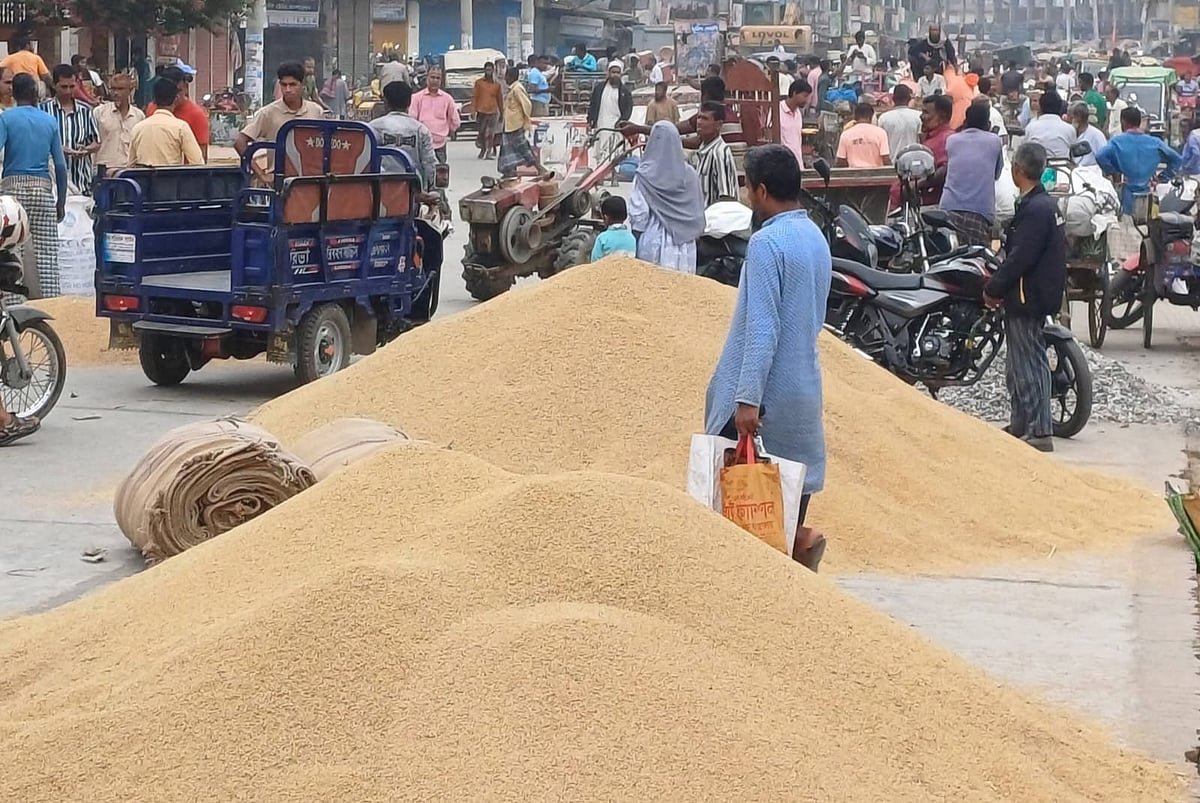 প্রতি মণ ধানের দাম ৮০০-৯৫০ টাকা, খরচই উঠছে না কৃষকের
