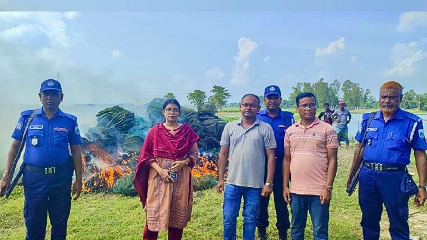 নাটোরে ২লাখ টাকার চায়না দুয়ারী জাল জব্দ, আগুনে পুড়িয়ে ধ্বংস
