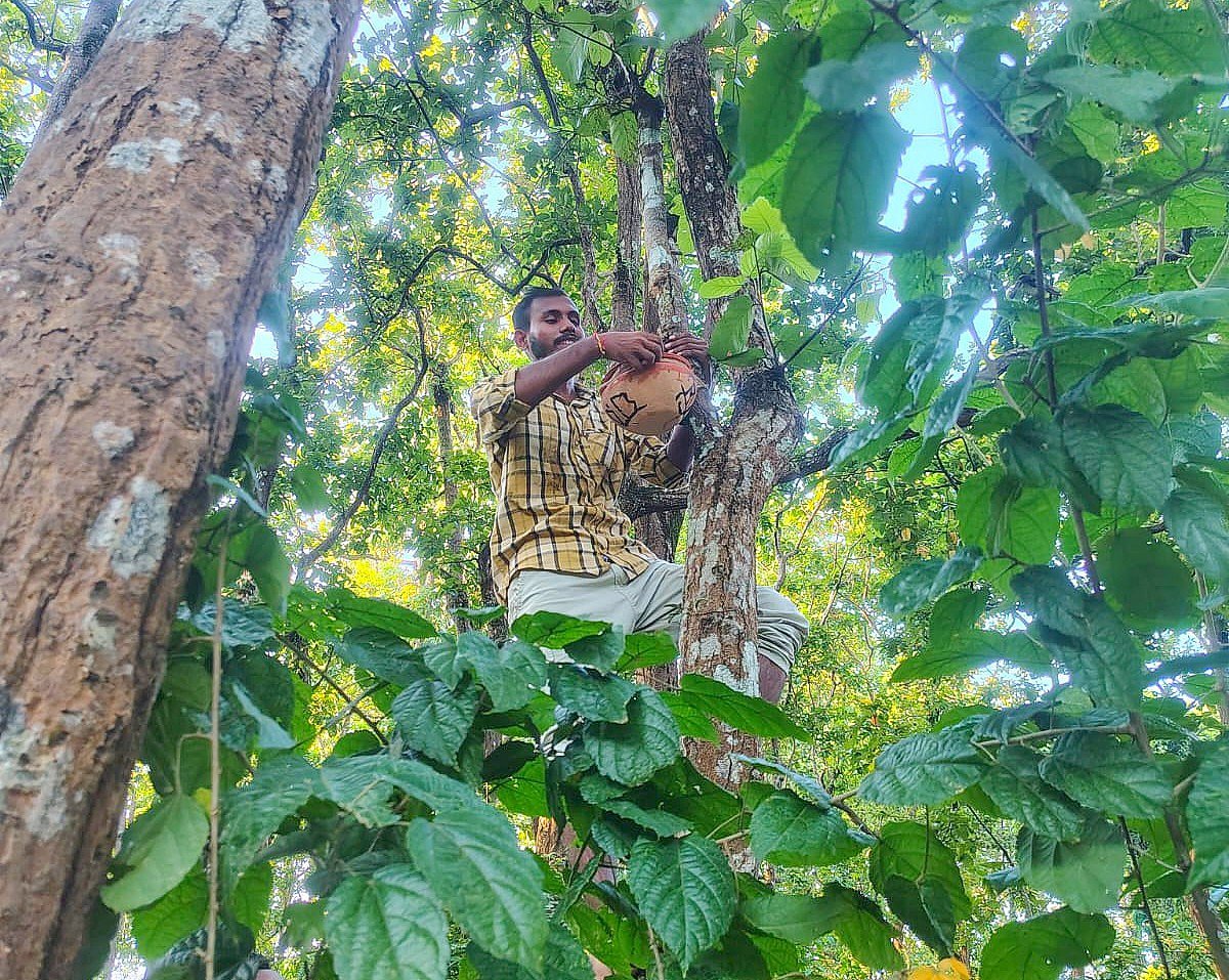 বন্ধুর স্মরণে পাখির ঘর