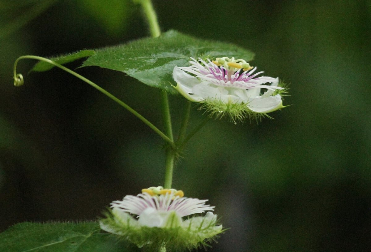একঝলক (২১ সেপ্টেম্বর ২০২৬)