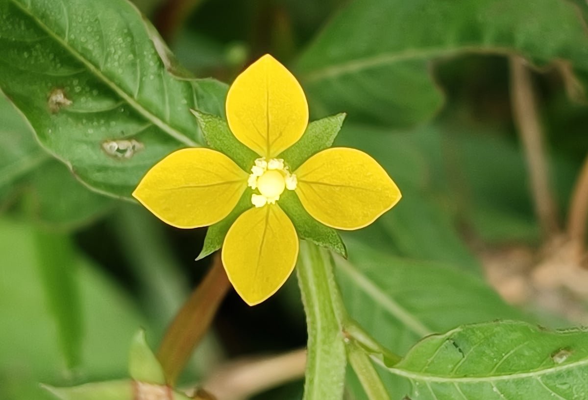 একঝলক (১২ সেপ্টেম্বর ২০২৬)