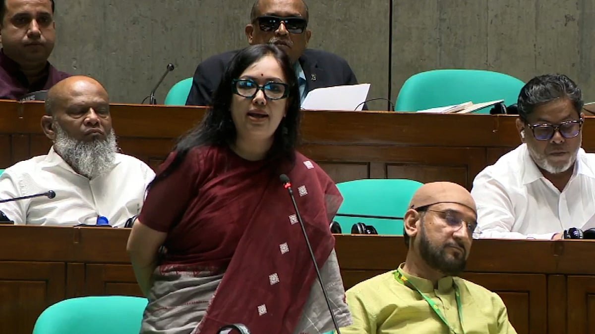 বিএনপি ক্ষমতায় আসবে আর গ্যাস–বিদ্যুৎ সংকট হবে না, এটা হতে পারে না: রুমিন ফারহানা