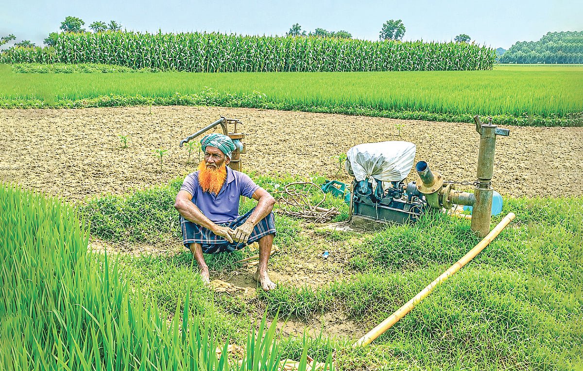 খাদ্যনিরাপত্তার নতুন ঝুঁকি ঠেকানোর পথ কী