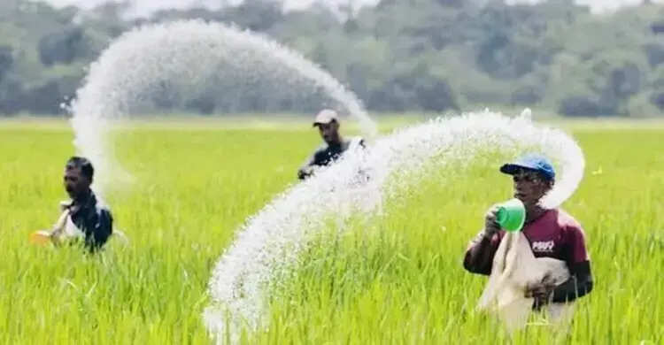সারের কোনো সংকট নেই, ঘাটতি অভিযোগ সঠিক নয়: বাণিজ্য প্রতিমন্ত্রী