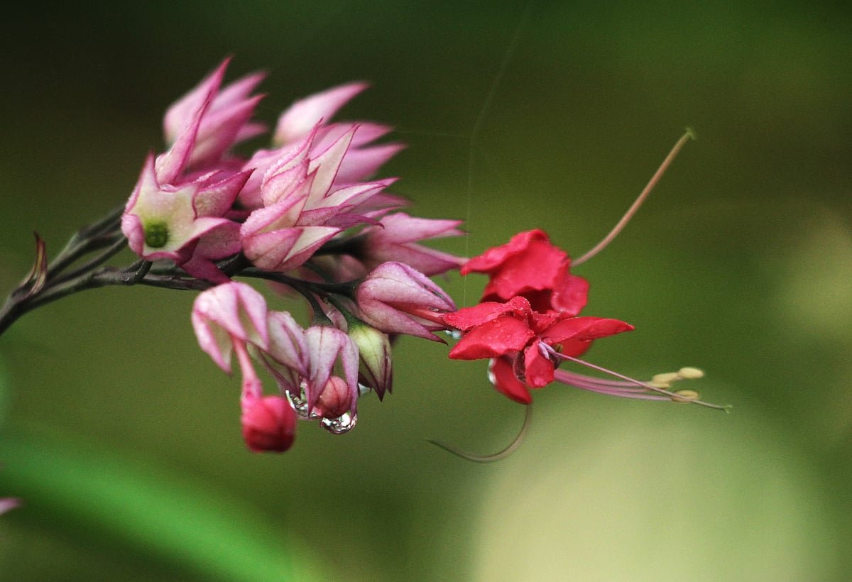 একঝলক (২৪ সেপ্টেম্বর ২০২৬)