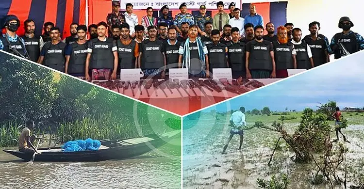 দস্যু আতঙ্কে সুন্দরবন ছাড়ছেন বনজীবীরা, কমছে রাজস্ব আয়
