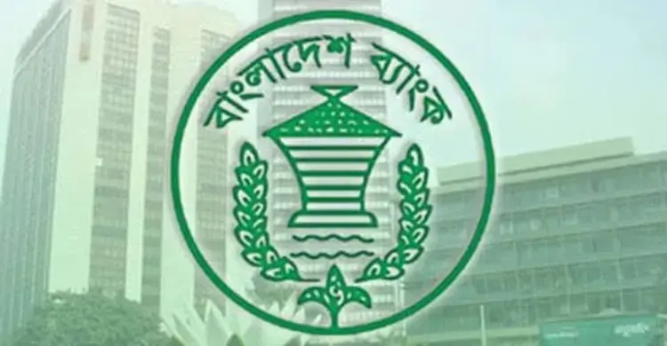 তরুণ উদ্যোক্তাদের বিনা জামানতে ২০ লাখ টাকা দেবে বাংলাদেশ ব্যাংক