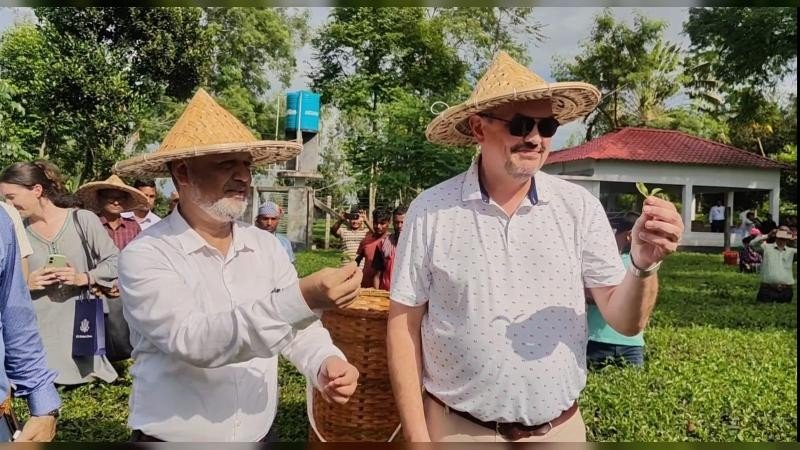 চা বাগান ও ২শ বছরের পুরনো আমগাছ পরিদর্শনে যুক্তরাষ্ট্রের রাষ্ট্রদূত