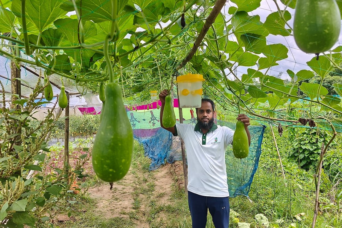 পতিত জমিতে সবজির বাগান, বাড়তি আয় মতিনের