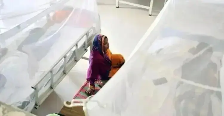 ডেঙ্গু নিয়ে হাসপাতালে ভর্তি ৫০ হাজার ছাড়ালো, মৃত্যু ১৪৩