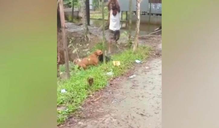 কুকুর পিটিয়ে হত্যার ঘটনায় মামলা, আসামিদের গ্রেপ্তারের আদেশ