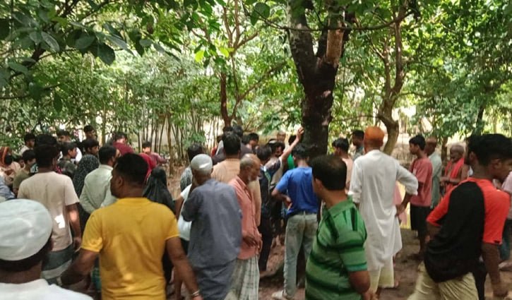 নিখোঁজের ৭ দিন পর মুরগির বিষ্ঠার গর্তে মিলল বৃদ্ধার লাশ