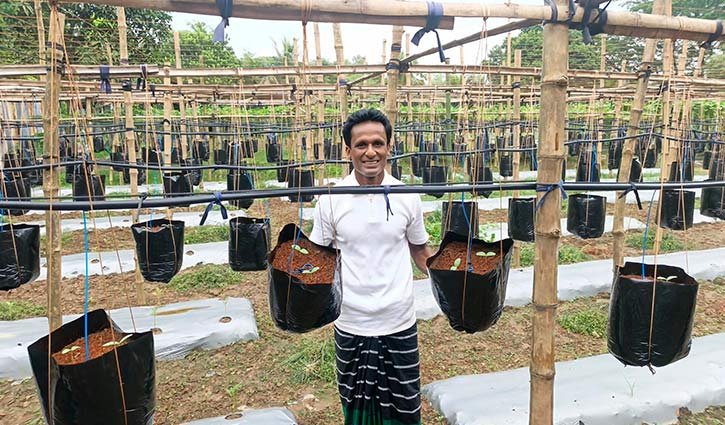 মাটি ছাড়াই কৃষির স্বপ্ন, ফেরদৌসের বাজিমাত