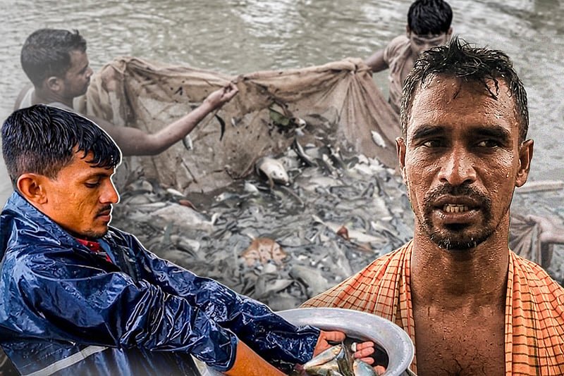সাইকেলে করে মাছের পোনা বিক্রি করতেন, এখন প্রতি মৌসুমে আয় করেন প্রায় ৩৫ লাখ টাকা