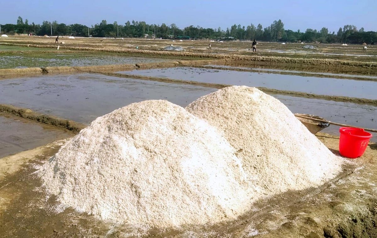 লবণের মৌসুম শুরুর ঠিক আগে আমদানির অনুমতি, ক্ষুব্ধ চাষিরা