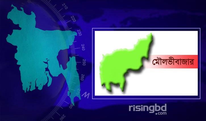 মৌলভীবাজারে নিয়ন্ত্রণ হারিয়ে নদীতে অটোরিকশা, চালক নিখোঁজ