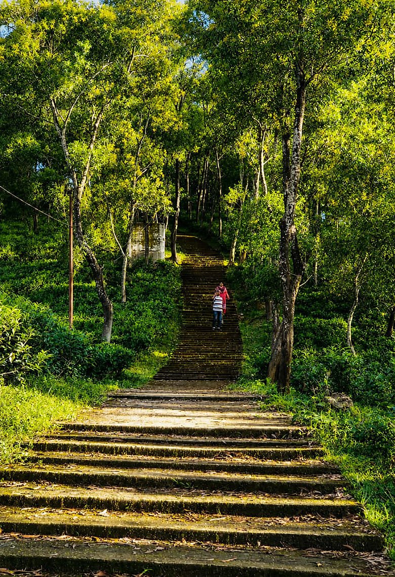 তিন শ সিঁড়ি পেরিয়ে ইতিহাসের টিলায়