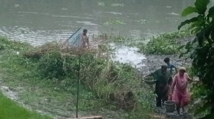 বারনই নদীতে মাছের মড়ক, ভেসে উঠছে অসংখ্য মরা মাছ