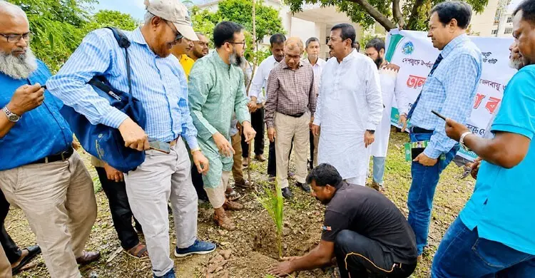 সারাদেশে ১ লাখ তালগাছের চারা রোপণ করা হবে