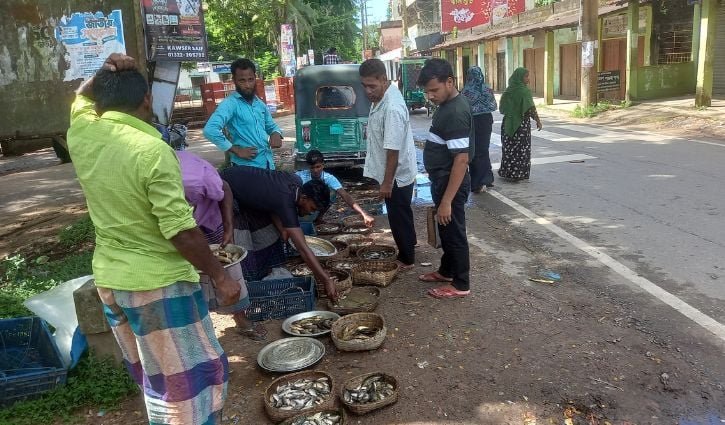 সকাল হলেই মেতে ওঠে হাওরের মাছে রাজনগরের হাট