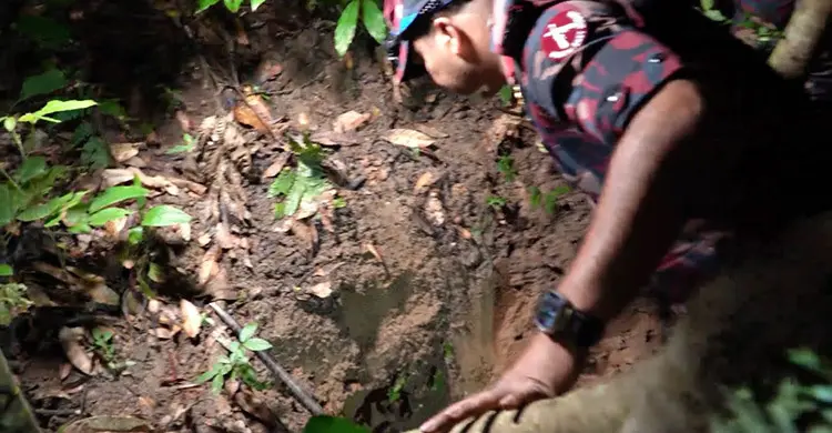 সাতছড়ির জঙ্গল থেকে পিস্তল-ম্যাগাজিন ও গুলি উদ্ধার
