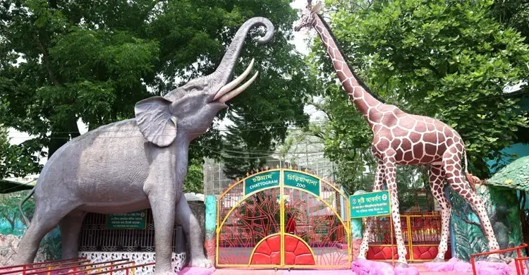 চিড়িয়াখানায় বিনামূল্যে প্রবেশের সুযোগ ১০০ গ্রাম প্লাস্টিক দিলেই