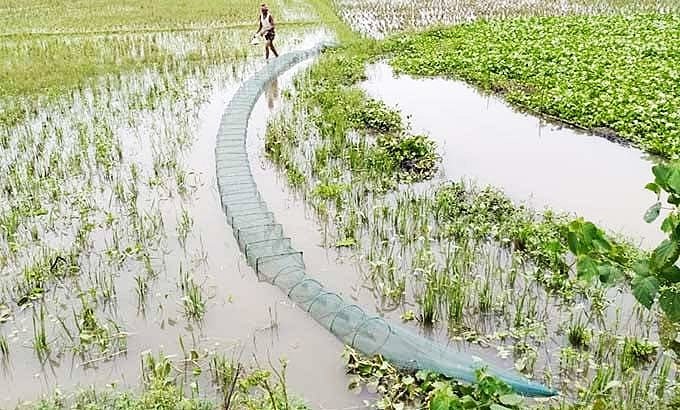 দক্ষিণাঞ্চলে চায়না দুয়ারি জালের ব্যবহারে মাছের প্রজনন হুমকিতে
