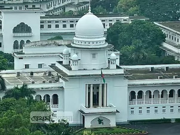 বিএনপির সরোয়ারের সংসদ সদস্য হিসেবে কাজ চালিয়ে যেতে বাধা নেই: আইনজীবী